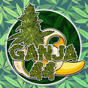 ganja44tv