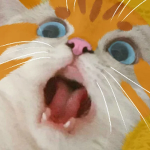 vehmkater