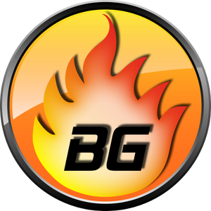 wernerburninggamersde